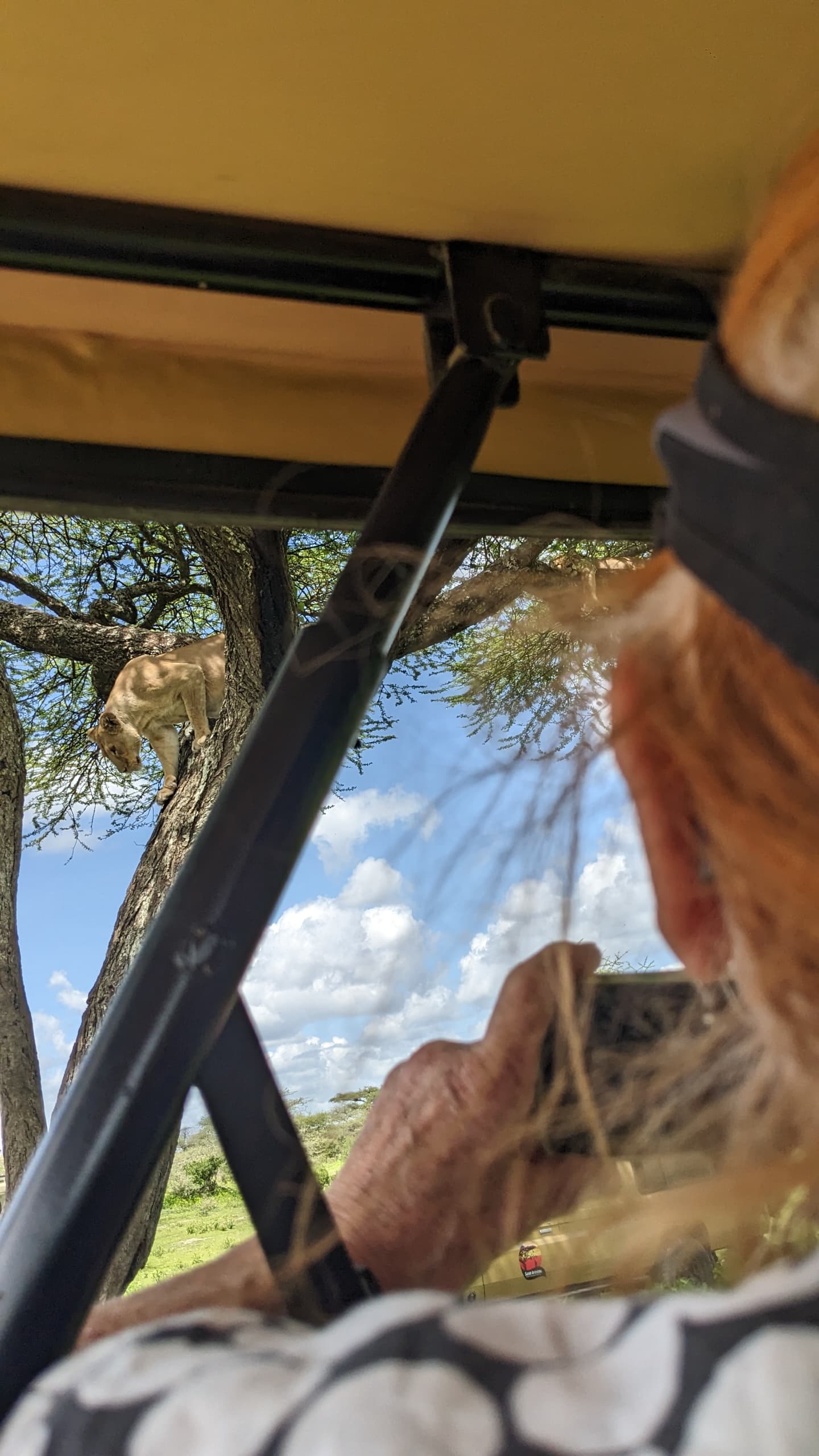 African Clay Safaris Land Cruiser Bush Camper Tanzania